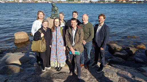 ZESM workshop 6 May 2025, Copenhagen